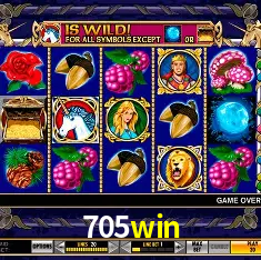 705win Rio de Janeiro - Bonus Terms